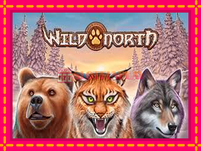 Jogar Wild North sem registro