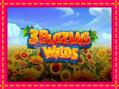 Jogar 3 Buzzing Wilds sem registro