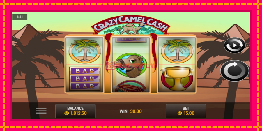 Crazy Camel Cash - automato com gráficos brilhantes, foto 3