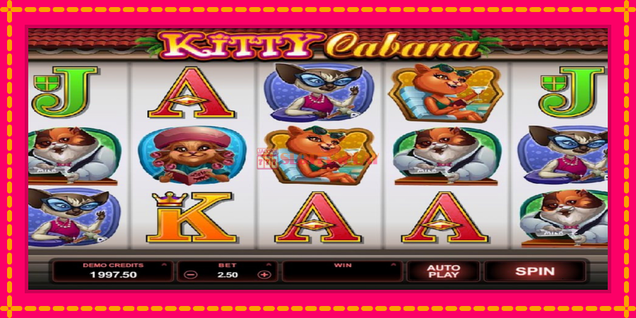 Kitty Cabana - automato com gráficos brilhantes, foto 2