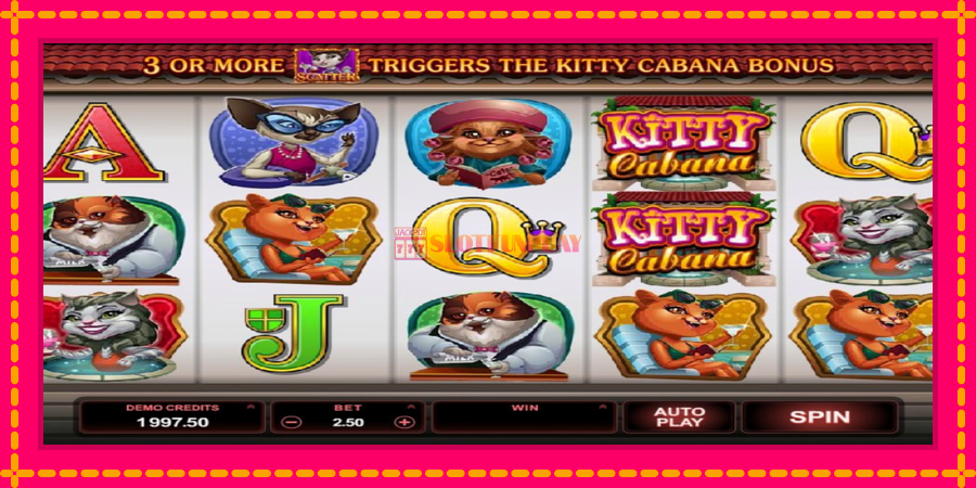 Kitty Cabana - automato com gráficos brilhantes, foto 3