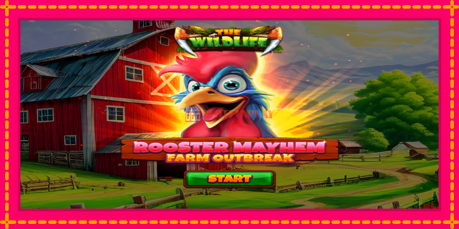 Rooster Mayhem Farm Outbreak - automato com gráficos brilhantes, foto 1